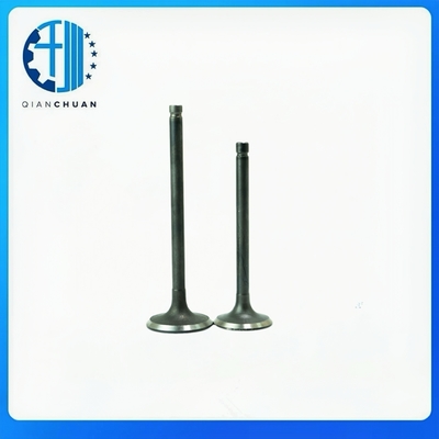Valve 423016 423017 For Volvo  S40 S60 S80  Diesel Engine Spare Parts construction Machinery