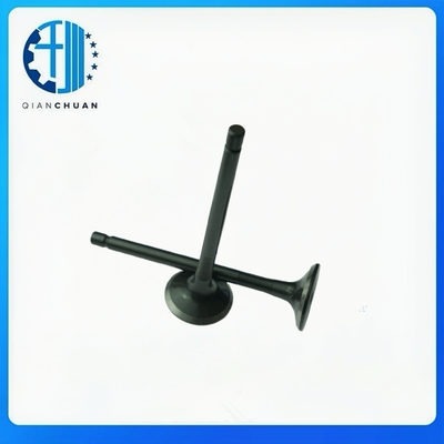 Valve 423016 423017 For Volvo  S40 S60 S80  Diesel Engine Spare Parts construction Machinery